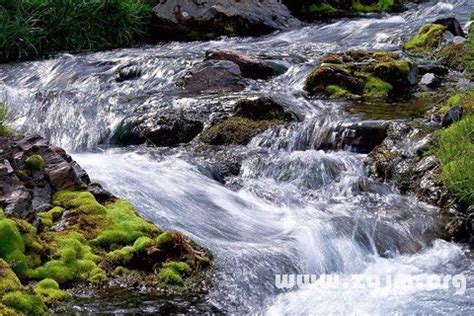 夢見溪流|夢見溪水